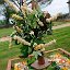 Mariage_188