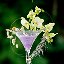 Mariage_203